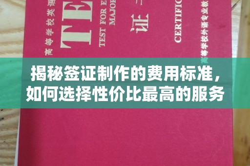 赤水揭秘签证制作的费用标准，如何选择性价比最高的服务？